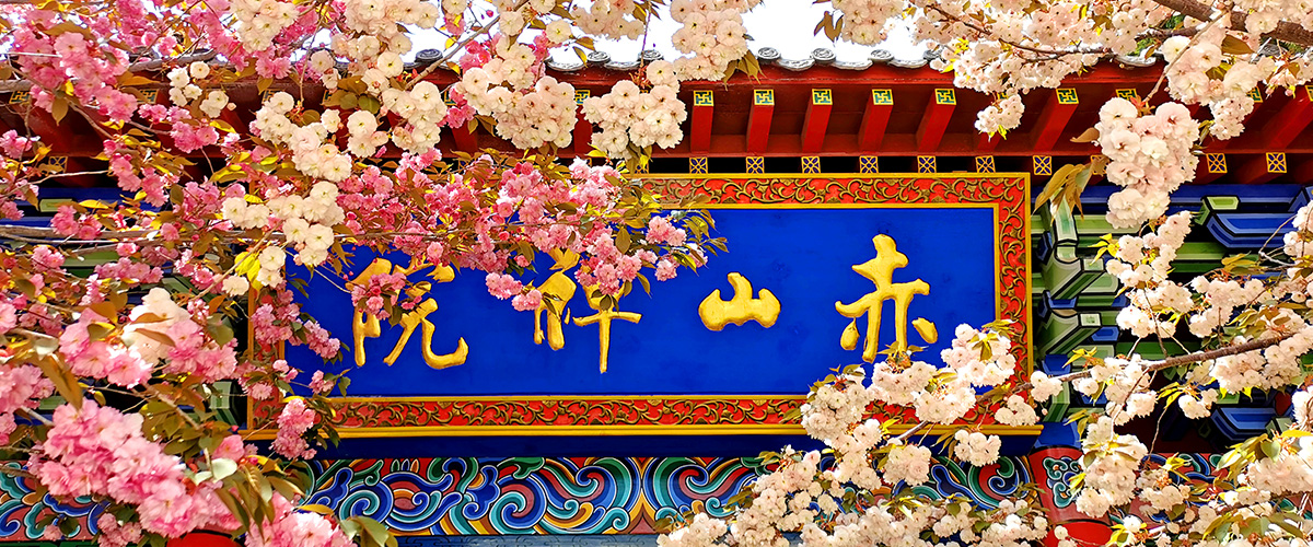 赤山禅院01.jpg