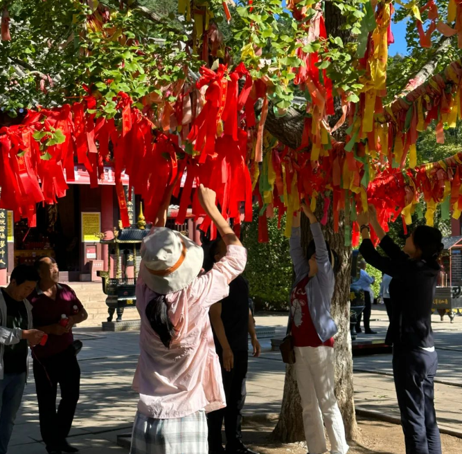 微信图片_20231001155828.png 微信图片_20231001155828.png