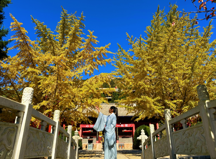 微信图片_20231120195453.png