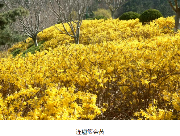 微信图片_20240303075637.png