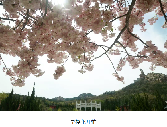 微信图片_20240303075706.png