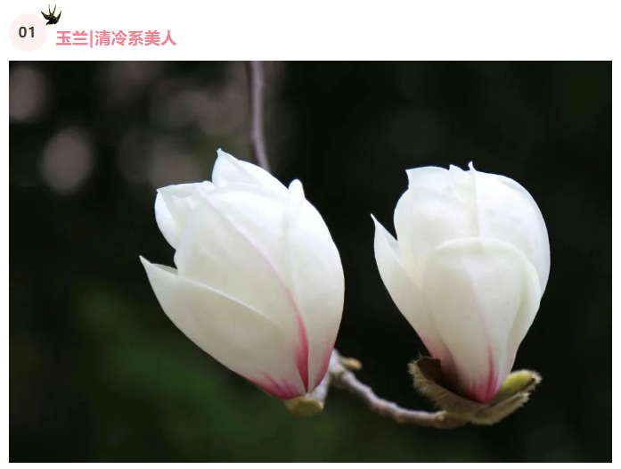 微信图片_20250326082038.png