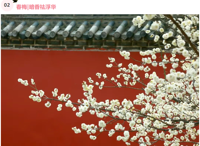 微信图片_20250326082153.png