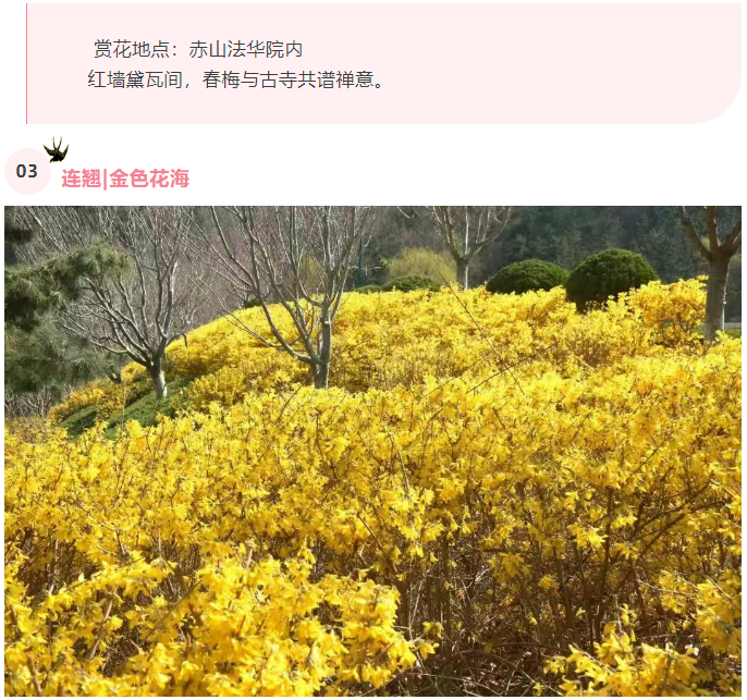 微信图片_20250326082232.png