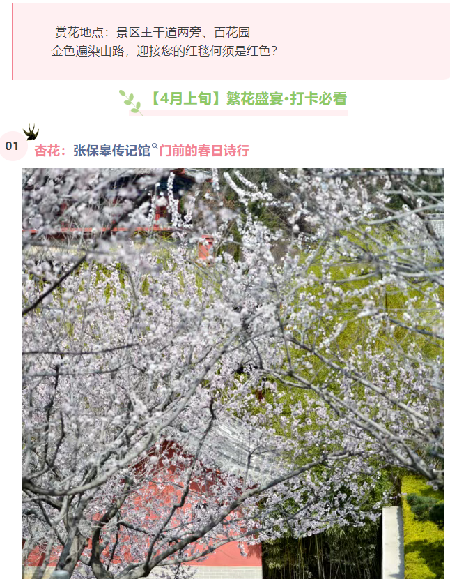 微信图片_20250326082305.png