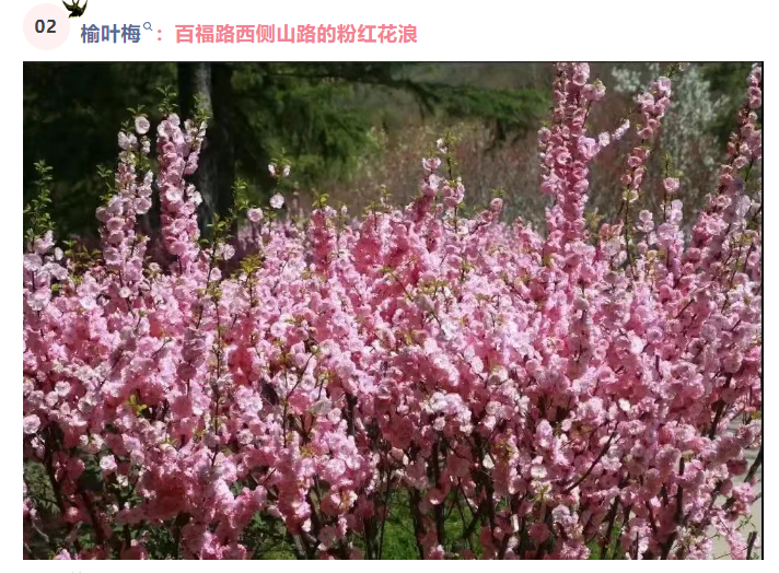 微信图片_20250326082347.png
