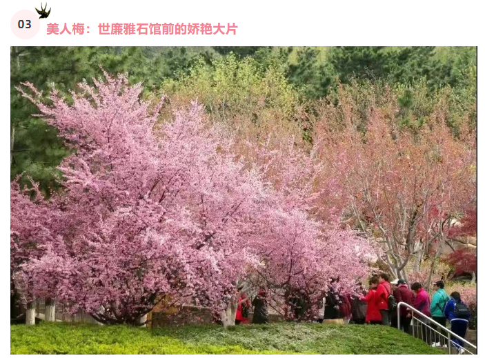 微信图片_20250326082412.png