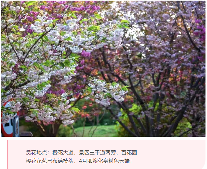 微信图片_20250326082525.png