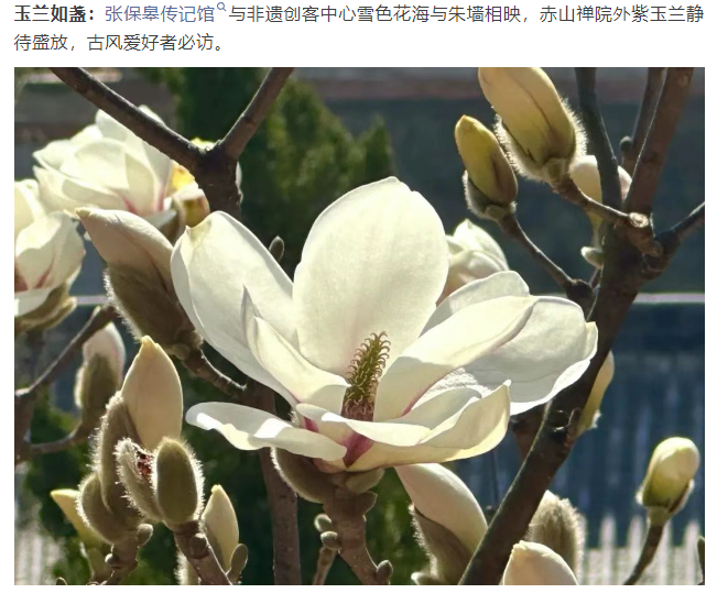 微信图片_20250326083336.png