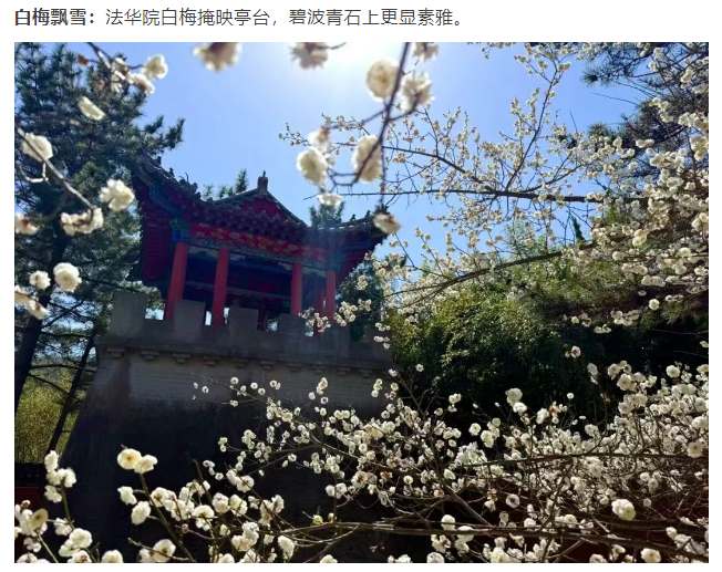 微信图片_20250326083401.png