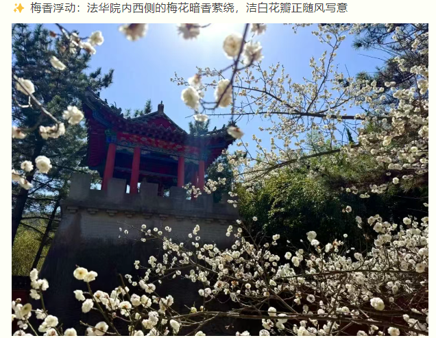 微信图片_20250404081623.png