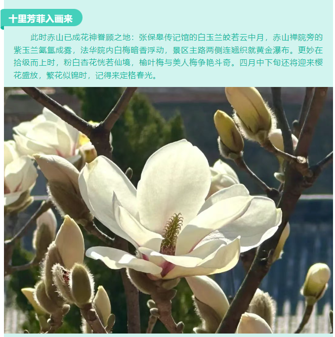 微信图片_20250404164440.png