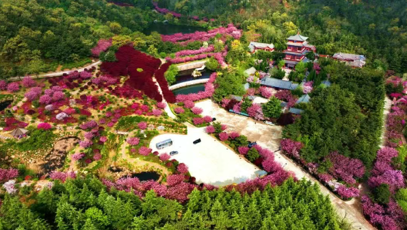 微信图片_20250412165034.png
