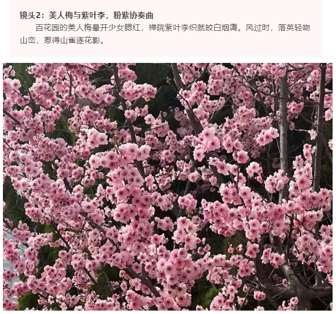微信图片_20250412165216.png