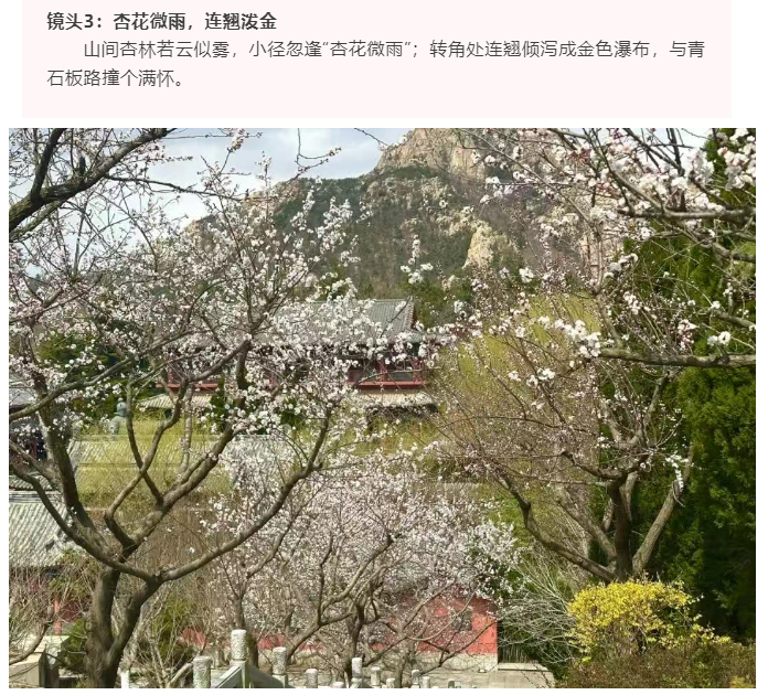 微信图片_20250412165244.png