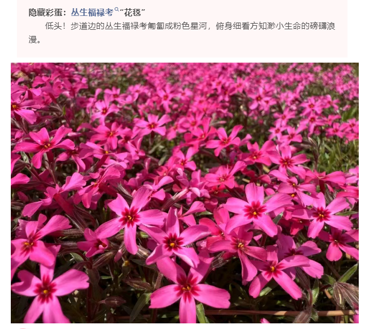 微信图片_20250412165313.png
