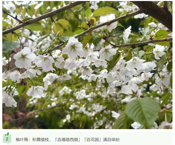 微信图片_20250412170436.png