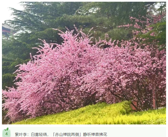 微信图片_20250412170527.png