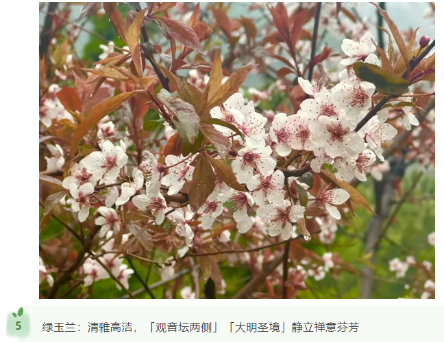 微信图片_20250412170552.png