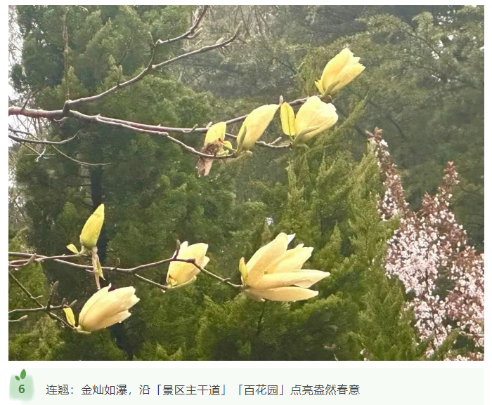 微信图片_20250412170614.png